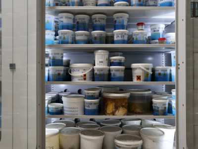 Si trovano all�interno di barattoli in plastica custoditi in decine di �armadi aspiratori� 
